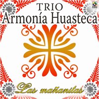 Le Canto A Mi Madre - Trio Armonia Huasteca