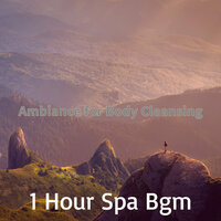 Astounding Soul Remedies - 1 Hour Spa Bgm