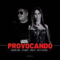 Provocando - Dj rapunzel & Gabriel Tadeu
