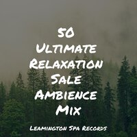 Calm Waves - Soothing Music Academy & Rain & Namaste Yoga