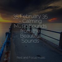 Caress of a Cloud - Deep Relaxation Meditation Academy & Mindfulness Mediation World & Sleepy Night Music