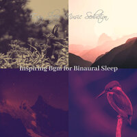 Romantic Moods for Sleeping Well - Easy Sleep Music Seduction