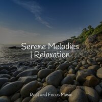 Tantra Massage - Tibetan Singing Bowls for Relaxation & Música para Massagem Especialistas & Deep Relaxation Meditation Academy