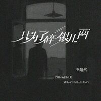 只为了碎银几两 - 王超然 & DJR7