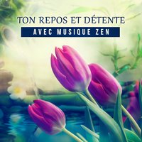 Sommeil paisible - Oasis de Musique Zen Spa