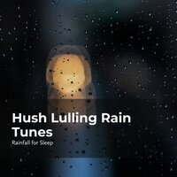 Slumberous Rainfall - Rainfall For Sleep & Rain Shower & Rain Man Sounds