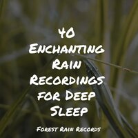Lake, Water Lapping, Light - Soothing White Noise For Infant Sleeping And Massage & The White Noise Zen & Meditation Sound Lab & Namaste Healing Yoga