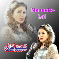 Vehre Vich Baithi Dewan Charkhe Nu Gere - Naseebo Lal