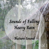 Rain In Vancouver - Rain Soundzzz Club & Water Effects Center & Sleep Music System
