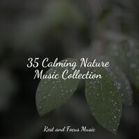 Daydreaming - Namaste Healing Yoga & Study Concentration & Pink Noise