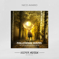 Following Waves - Nico Aviario & VetLove & Mike Drozdov