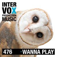 Bumblebee Adventures - Viktor Petrov & Intervox Music