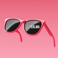 CON CALMA - The Harmony Group
