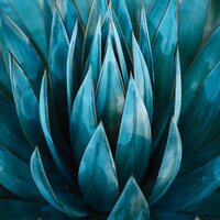 Drift Away into Dreams - Studying Music & Sound Healing Center & Mother Earth Sounds