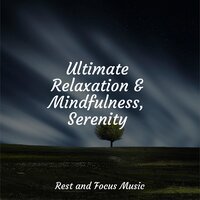 Tranquil Mountain Streams - Meditação Yoga & Baby Relax Music Collection & Ruído branco