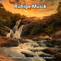 Ruhige Musik pt. 83 - Entspannungsmusik sanft & Schlafmusik & Entspannungsmusik