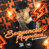 Sequencia Magnetica (Speed + Reverb) - DJ Erik JP