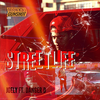 Multiverse - JoeLy