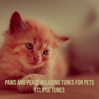 Peaceful Paws - Eclipse Tunes