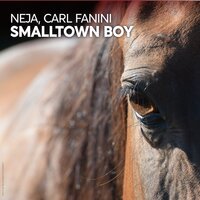 Smalltown Boy - Neja & Carl Fanini
