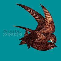 The Sondersong - Whale Fall