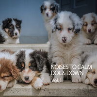 Good Calm Dogs - relax tunes & Relax Academy ASMR & Relaxing Atmospheres