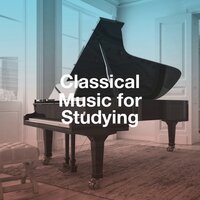 Impromptu - Opus 29 - Allegro Essai - The Romantic Orchestra & Фридерик Шопен