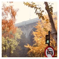 The Ballad of Autumn Breeze - Crystal