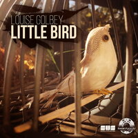 Little Bird - Louise Golbey