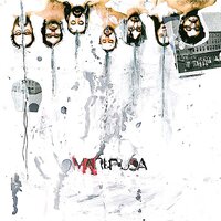 Zucca - Mariposa