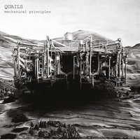 Rescusitation - Quails