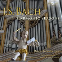 Prelude and Fugue in C Minor, BWV 546: I. Prelude - Manuel Tomadin & Johann Sebastian Bach
