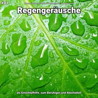Regengeräusche, pt. 83 - Regengeräusche zum Schlafen & Naturgeräusche & Regengeräusche