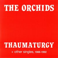 What Will We Do Next? - The Orchids
