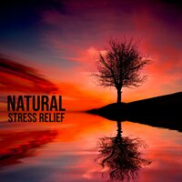Spa Wellness Center - Calm Music Masters Relaxation
