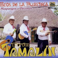 El Llorar - Trio Tamalín