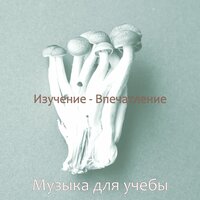 Звуки (Фокус) - Музыка для учёбы