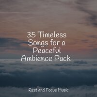 Bedtime - Namaste Healing Yoga & Life Sounds Nature & Classical Lullabies