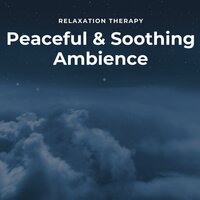Beauty Sleep - Sleep 'n' Sleep