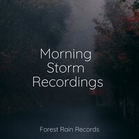 Waves, Light, Close, Serene - Reiki Tribe & 125 Nature Sounds & Rain Recorders