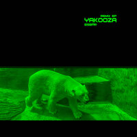 Eisbär - Yakooza