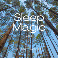 Sweet Lands of Joy with Nature Sounds for Sleep - Sleep Repeat