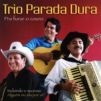 Pernilongo da Vila - Trio Parada Dura