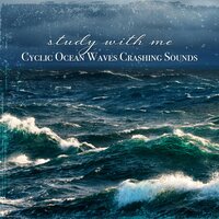 Cyclic Ocean Waves Crashing Sounds, Pt. 14 - Sebastian Riegl