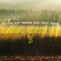 Focusing Quiet Morning Foggy Forest Sounds, Pt. 4 - Bryan Maxwell