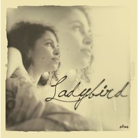 Let Go - Ladybird