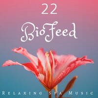 Night Sounds - BioFeed