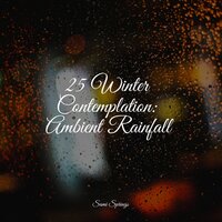 Shelter Rains - Guided Meditation Music Zone & Entspannungsmusik Oase & Oasis of Meditation
