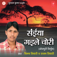 Beech Rahiya Ek Bilkhat Naari - Vinay Tiwari