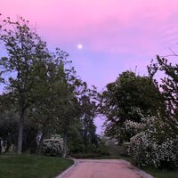 Evening Calm - Amazing Spa Music & Yoga Trainer & Sonidos de lluvia para dormir